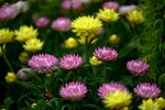 DSC_0576.jpg a