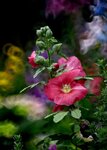 DSC_0598.jpg a