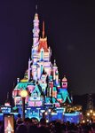 IMG_20260601_195821.jpg a