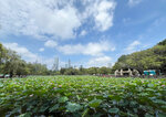 24.jpg a