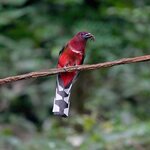 DSC04106.jpg a