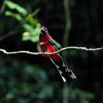 DSC04157.jpg a