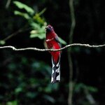 DSC04163.jpg a
