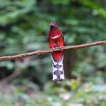 DSC04184.jpg a