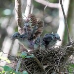 DSC00123.jpg a