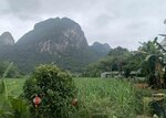 IMG_0150.jpg a