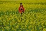 _DSC5929 c