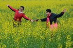 _DSC5975 a