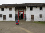 IMG_6954 b