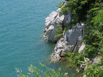 IMG_0917 a