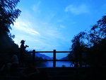 IMG_0974 b