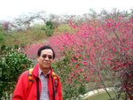 IMG_4855 a