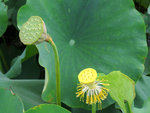 IMG_8392 m