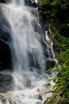 DSC_2792 b