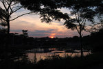IMG_7288 a