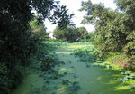 IMG_7304 a