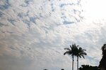 DSC_8811 b