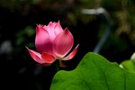 DSC_9059 b