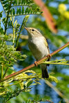 DSC01680 b