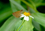 DSC09863 b