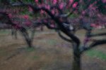 DSC_5620 m