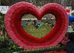 DSC04296 a