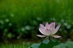 DSC05539 a