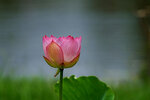 DSC05541 a