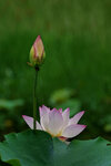 DSC05543 a