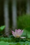 DSC05544 a