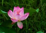 DSC05558 a