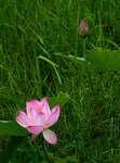 DSC05560 a
