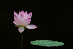 DSC05563 a