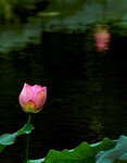 DSC05570 a