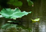 DSC05583 a