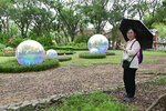 DSC_7582 a