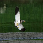 DSC01449 a