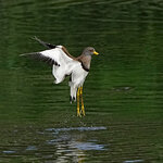 DSC01500 a