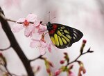 DSC00324 b