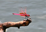 DSC_0357 a