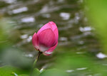 DSC_0364 a