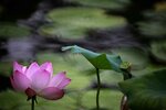DSC_0443 a