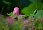 DSC_0504 a