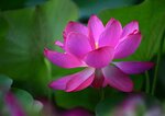 DSC_0559 a