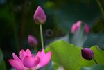 DSC_0567 a