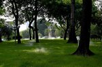 DSC_0432 a