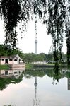 DSC_0632 a