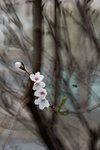 DSC_1170-a