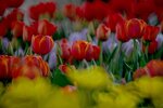 DSC_1202.jpg a