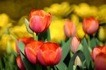 DSC_1205.jpg a